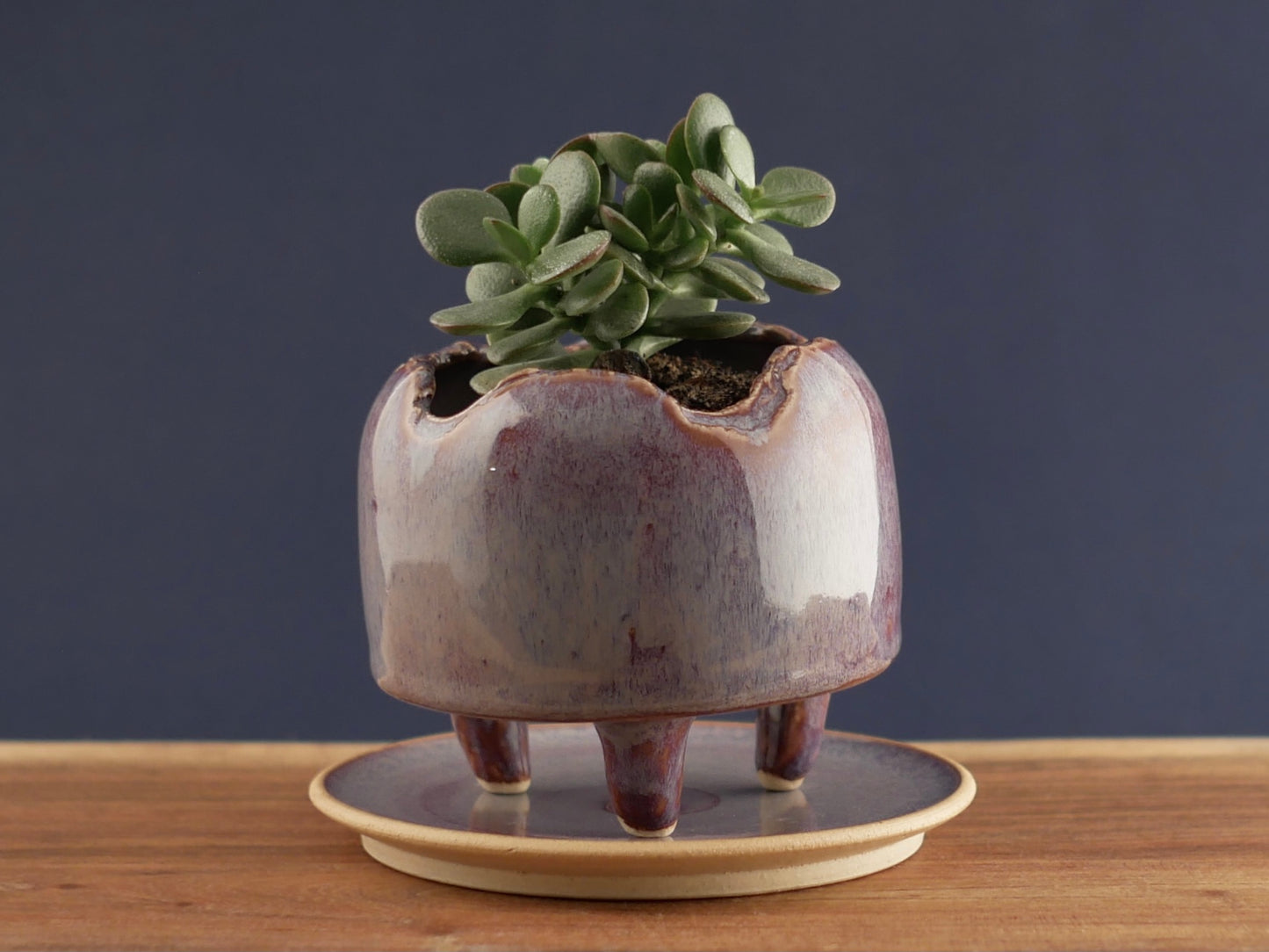 Handmade Pottery Planter - Pale Bordeaux