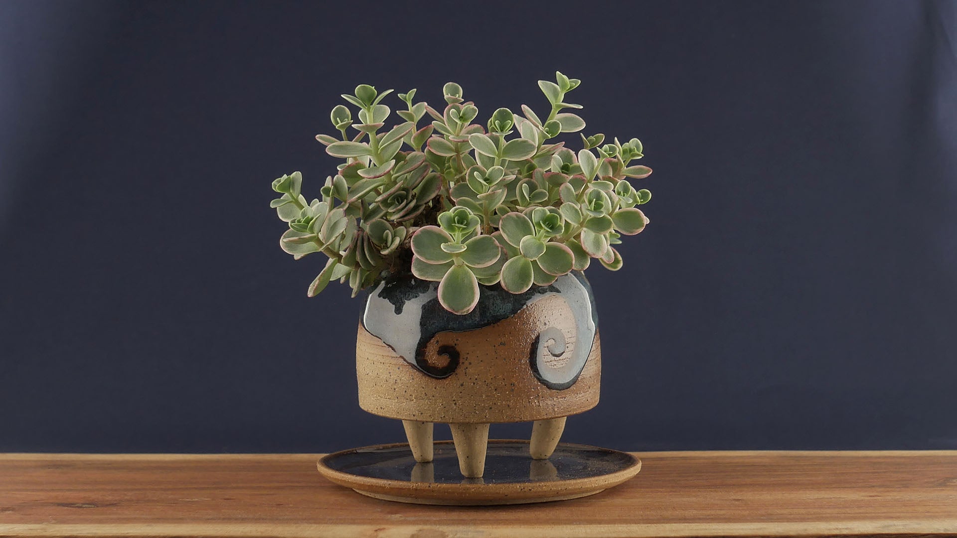 Load video: In this video I show how I make a small pottery planter in my home studio from raw clay to glaze firing.Techniques used in this video:Pottery Wheel throwing, Trimming, Hand Building, Clay Waxing, Glazing. throwingTrimmingClay waxingGlazing. I hope you enjoy it!